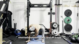 Unlock Your Hips: Simple Mobility Routine for a Flexible You!